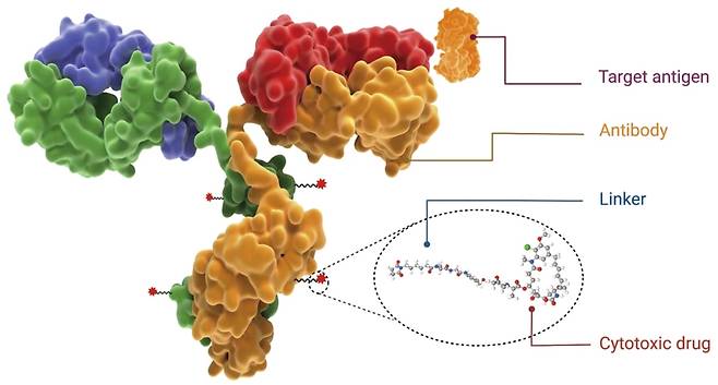 ADC 약물의 구조와 특성. ADC는 항체, 페이로드, 링커 등 3가지 요소가 연결된 형태이다. /네이처