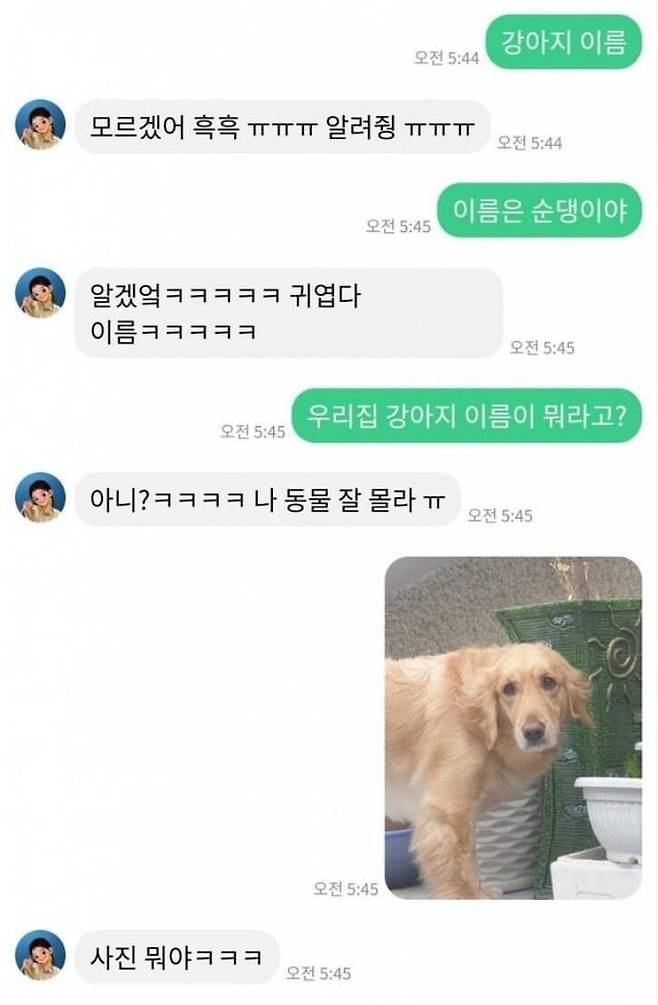 IMG_1678.jpeg 치매걸린 여자친구와 채팅