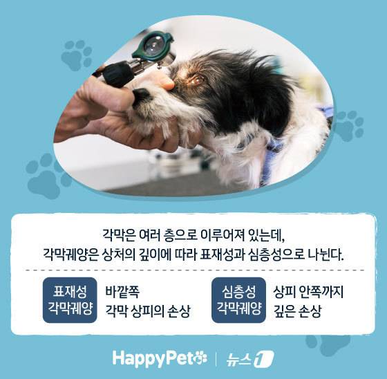 ⓒ News1 김지영 디자이너