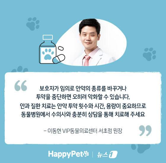 ⓒ News1 김지영 디자이너