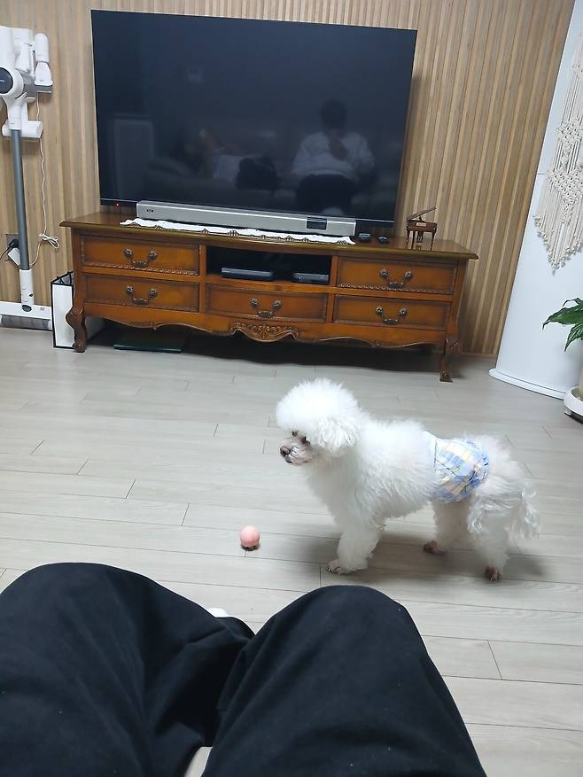 1000005830.jpg 엄마 만나고왔습니다