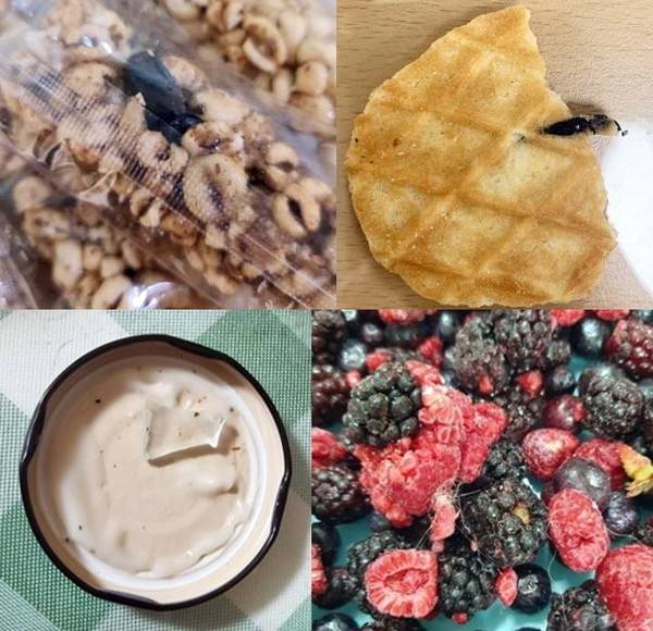 (윗줄 왼쪽부터 시계 방향으로) 과자 속 벌레, 플라스틱이 검출된 과자, 냉동 베리류 속 섬유(실), 소스류에서 나온 유리./사진=한정애 의원실