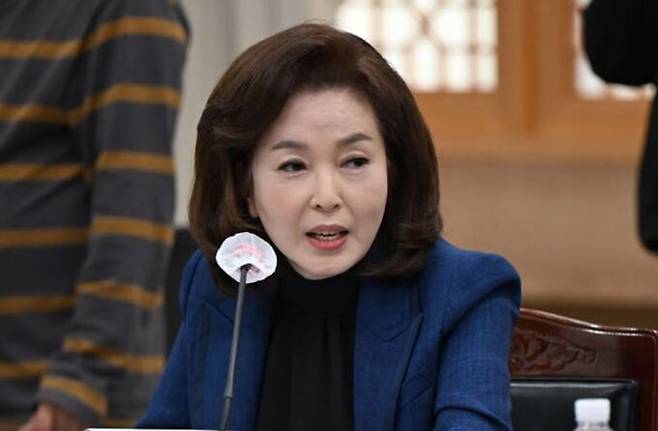김민전 국민의힘 의원. 뉴시스