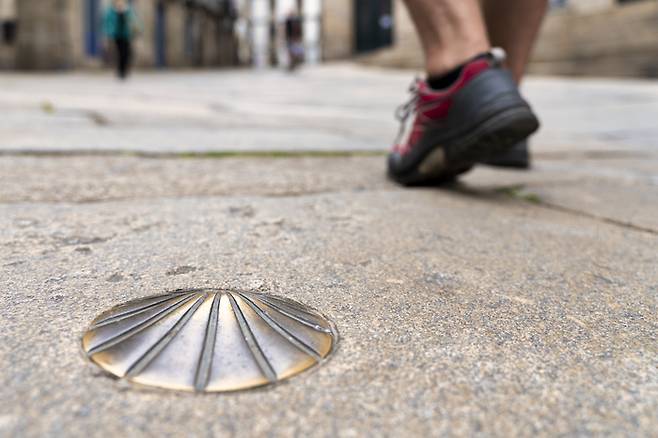 detail of the foot with the pilgrim‘s shoe walking along the santiago path - santiago’s shell