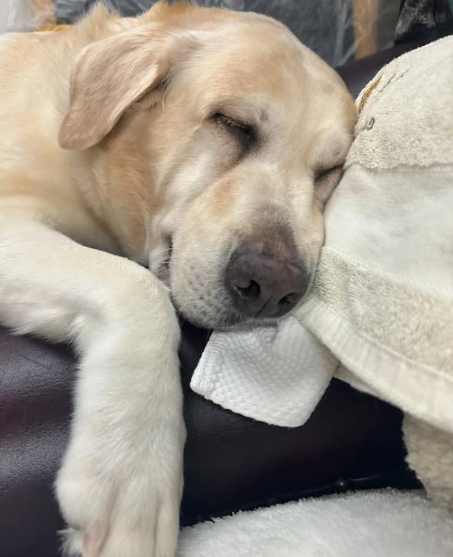 권민아 소셜미디어