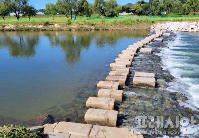 ▲성남 탄천 수내교. ⓒ성남시