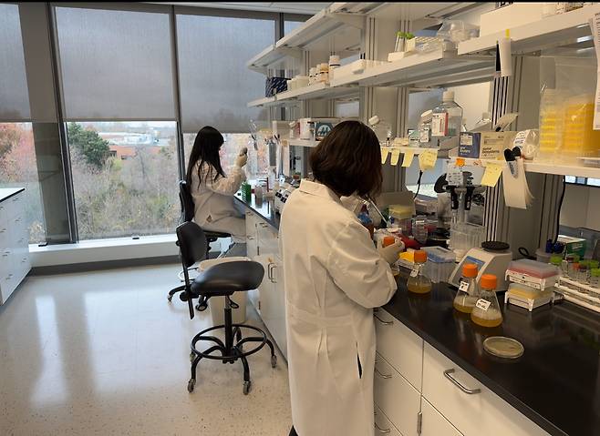 미국 메릴랜드주 게이더스버그에 위치한 에스티큐브 미국법인에서 근무 중인 직원들 모습./에스티큐브