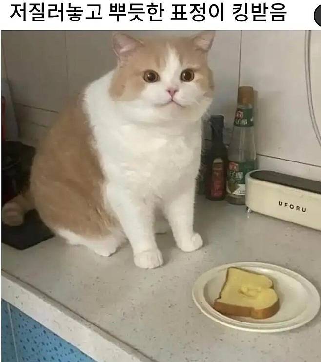 아이고 이거 참 미안하게 됐구만.jpg