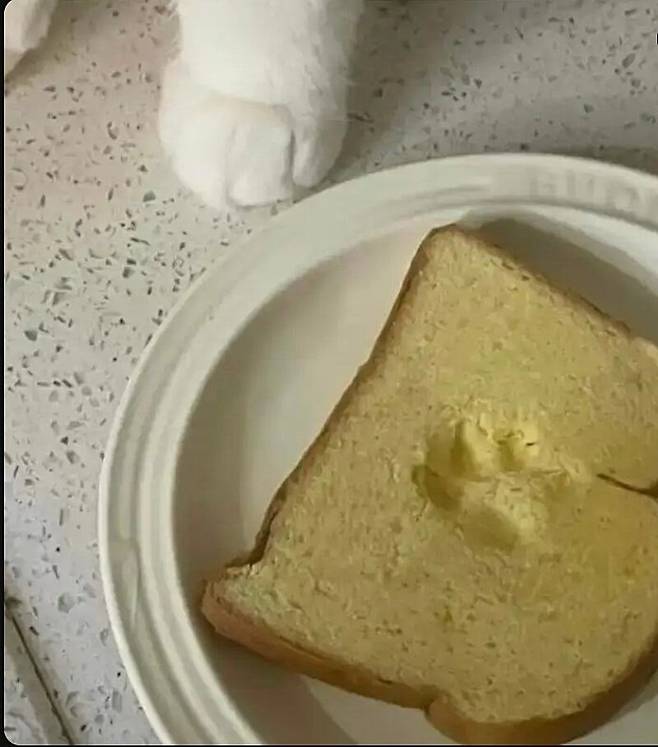 아이고 이거 참 미안하게 됐구만.jpg