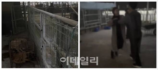 세종시가 위탁 운영하던 동물보호센터의 모습. 동물보호단체 관계자들이 들어가려고 하자 진입을 막고 있다. (사진=제보자)