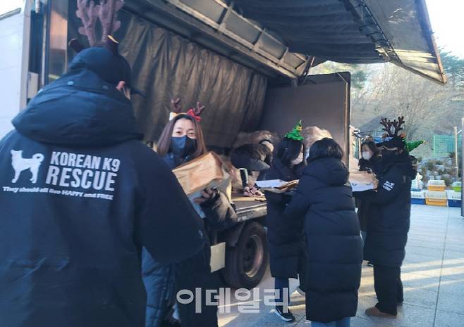 지난 18일 동물보호단체 연합모임 ‘루시의 친구들’이 강릉시 동물보호센터에서 개들을 구조하고 있다.(사진=KK9레스큐)