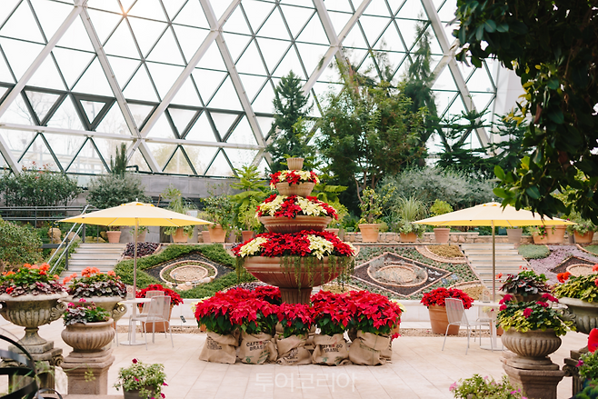 서울식물원 '겨울요정이 나타났다'/사진-서울시