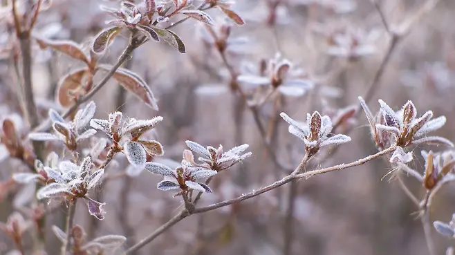 7fed817fb5836af42396fb922681776fa170da791af9d509d6f19c8b10127fec4b0c297133fe6b025c