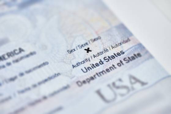 미국에서 여권상의 성별을 남성과 여성 외에 제3의 성으로 선택할 수 있게 한 섹션이 21일(현지시간)부터 사라졌다. 마이그레이션 폴리시 인스티튜트 홈페이지