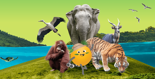 아고다 에코딜 이니셔티브 타이틀 일러스트