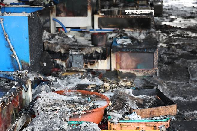 새까맣게 변한 석화 [촬영 나보배]