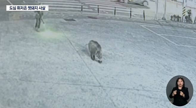 사진=대구MBC 캡처