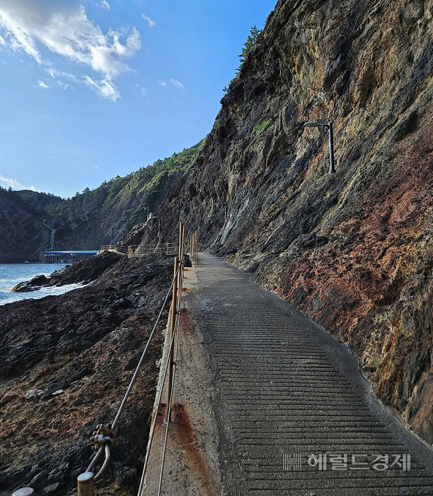 울릉도 행남 해안 산책로(헤럴드 DB)