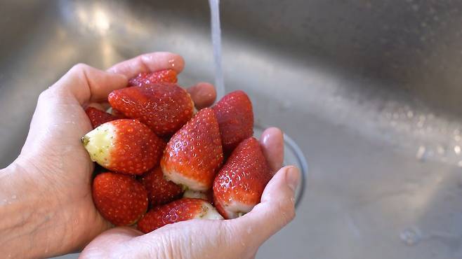 깨끗하게 딸기 씻는법