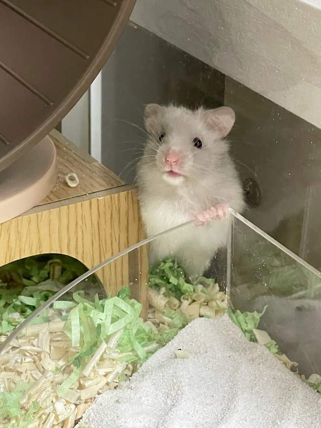 0898f570c6f31df523ef87e1309c7018d1ad93f19ca5469965175aae9e9db0ae0b89b80d4bc9c33113cf917738db689955ba5fa921