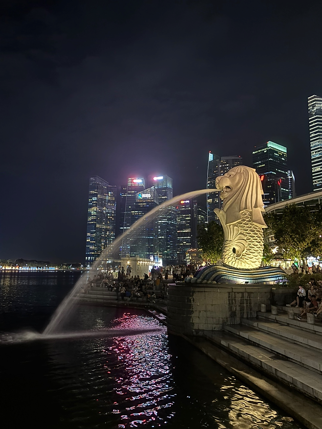 image.png 몰디브(싱가포르 경유) 신혼 여행 후기 및 정보