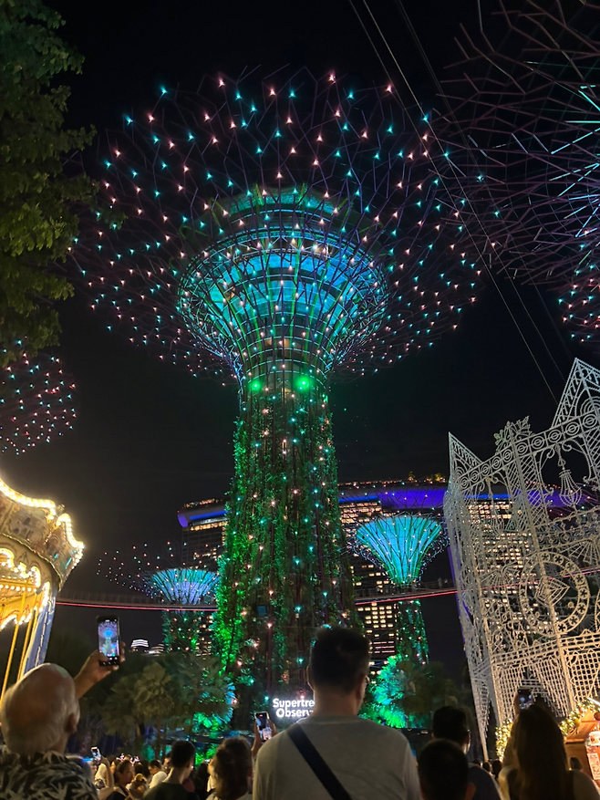 image.png 몰디브(싱가포르 경유) 신혼 여행 후기 및 정보