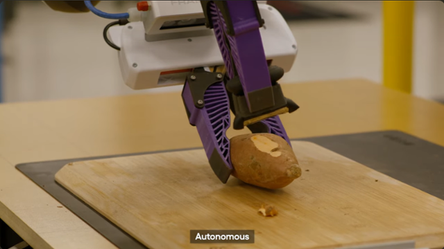 일본 도요타 연구소(TRI)가 구축 중인 대규모행동모델(LBM)로 훈련한 로봇이 스스로 감자를 깎고 있다. 로봇은 인간이 시범을 보인 동작 데이터를 받아들여 다양한 환경에서 이를 수행하는 학습을 한다. TRI 유튜브 영상 캡처