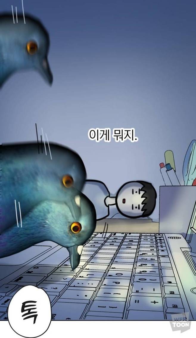 웹툰 '성북구 비둘기 이헌서' 한 장면 [네이버웹툰 갈무리. 재판매 및 DB 금지]