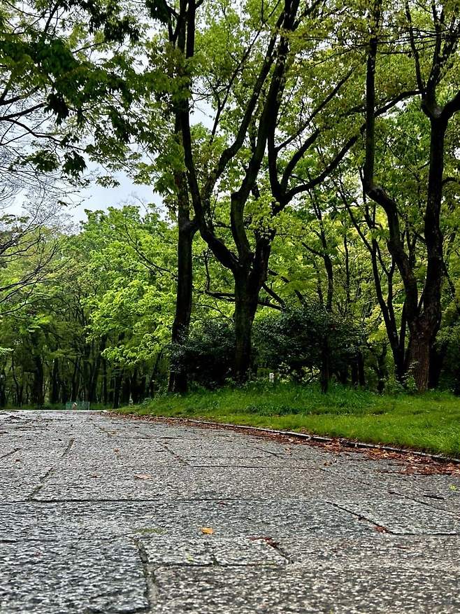 08e9827fb0861bf3239ef294359c7065f1ab9c8cdd59170becdc97b93c01451f966a8bd18d4ae5fc04a2f161bf479e0b9fb8a0ff59