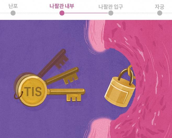 난자와 정자가 결합하는 비밀번호. 과학동아 제공