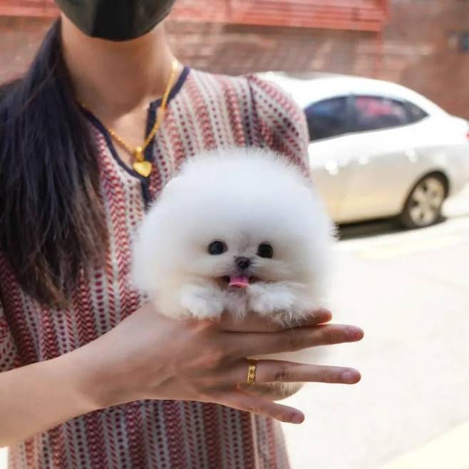 단팥 살짝 삐져나온 호빵.jpg