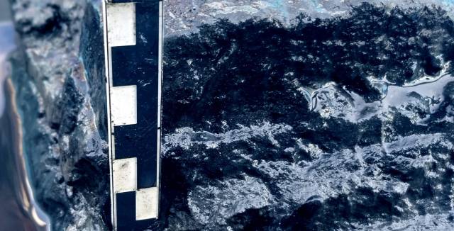 ▲ 새만금 바다의 썩은 퇴적토, 준설로 수심이 깊어져 물이 정체되어 생물이 살 수 없고, 수질 악화의 원인이 되고 있다. ⓒ새만금신공항백지화공동행동