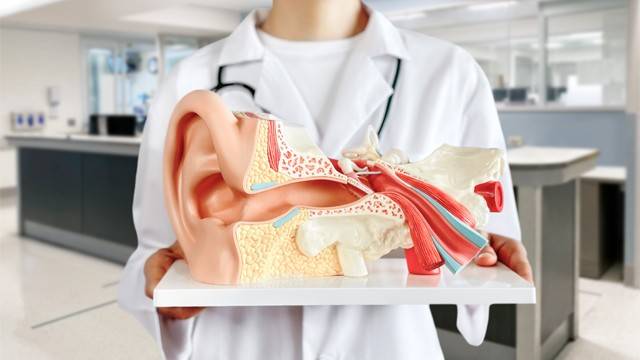 이명의 치료는 근본적인 원인에 따라 다르게 접근해야 한다ㅣ출처: 게티이미지뱅크