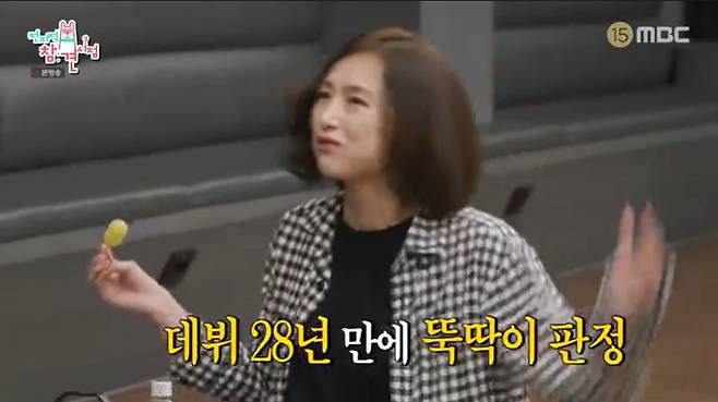 MBC '전지적 참견 시점'