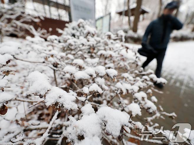 설 명절 연휴 사흘째이자 대설특보가 발효된 27일 오전 서울 백련근린공원에서 시민이 둘레길을 걷고 있다.2025.1.27/뉴스1 ⓒ News1 황기선 기자