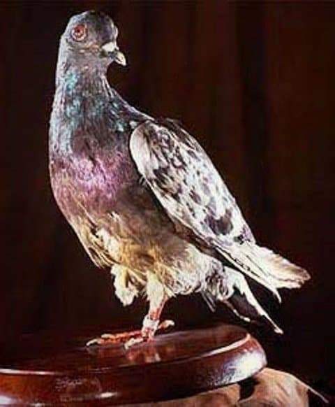 7c98f37eb0836a8323e780e4419c7018a3ffc5a6fca11994363feb1501d0cd4a1f5a1182ed77402425bb7a0070ef8a4216097c