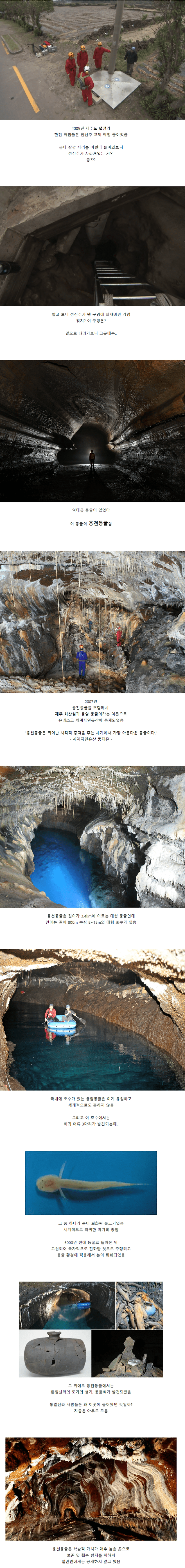 한전이 작업하다가 발견한 제주도 동굴
