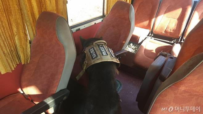 23일 대전 유성구에 위치한 경찰견종합센터에서 폭발물탐지견 '요다'가 폭발물 탐지 시범을 보이고 있다. /사진= 이현수 기자.