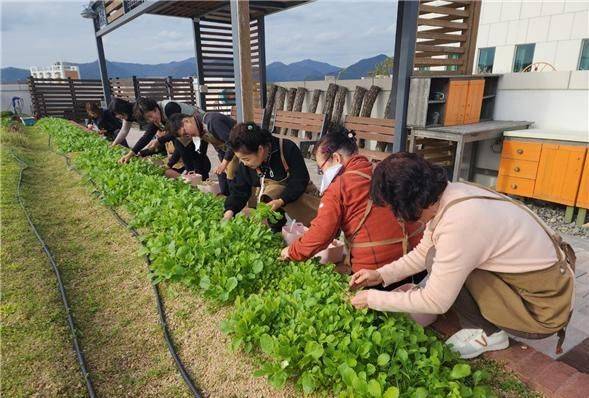 지난해 부산시농업기술센터에서 진행한 치유농업 서비스에 참여한 시민들.