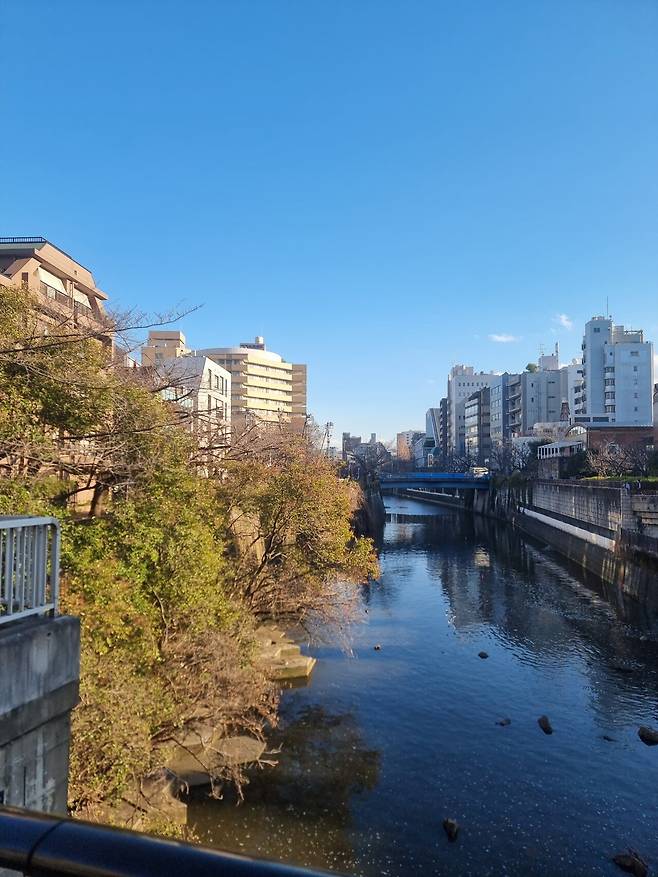 1000089555.jpg 나카메구로 갔습니다