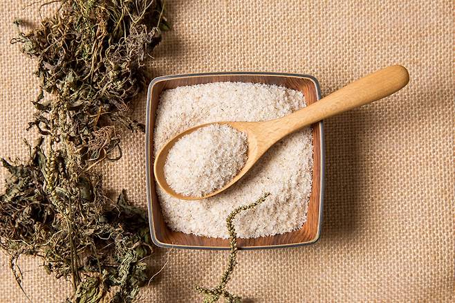 영국의 한 시니어 라이프스타일 콘텐츠 전문가가 차전자피의 효능을 강조했다./사진=게티이미지뱅크