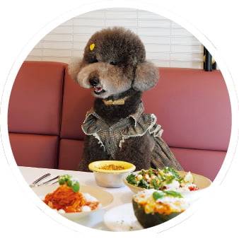 코코스퀘어가  운영하는 반려견 동반 레스토랑.