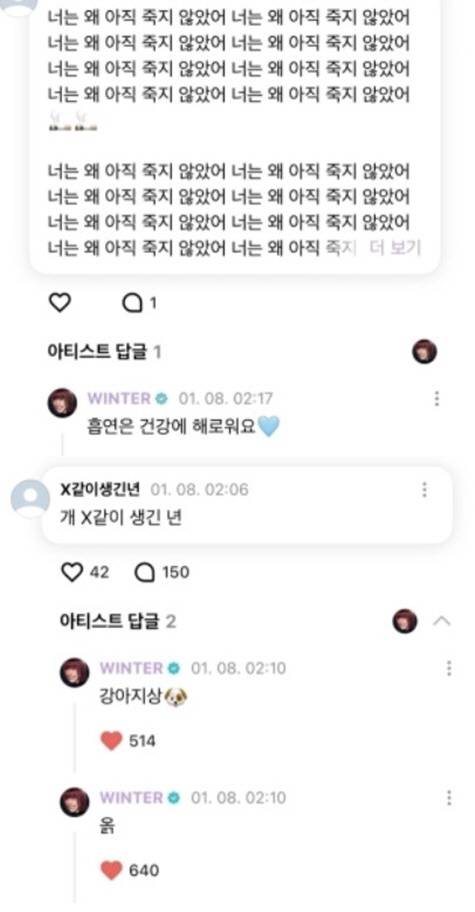 A screenshot of a conversation between K-pop singer Winter and an anti-fan on Weverse, the global fandom platform operated by Hybe (Screenshot from Weverse)