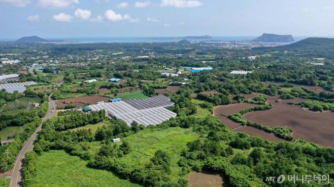 [서귀포=뉴시스] 우장호 기자 = 국토교통부는 6일자로 '제주 제2공항 건설사업' 기본계획 고시를 예고했다. 이번에 고시되는 기본계획에 따르면, 제주 제2공항 건설사업의 총사업비는 5조4532억원(1단계 사업 기준)으로, 주요 시설로는 활주로, 유도로, 계류장, 여객터미널, 화물터미널 등이 포함된다.  국토부는 기본계획 고시에 이은 후속 절차로 기본설계와 환경영향평가 등에 착수한다. 5일 제주 서귀포시 성산읍 상공에서 제2공항 예정 부지를 바라본 모습. 2024.09.05. woo1223@newsis.com /사진=우장호