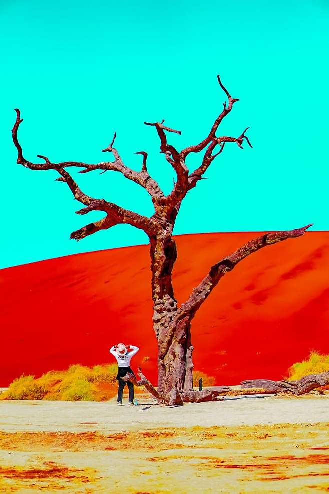 098ef376b78769ff26ee9ffb1cc1231dd93fdf353a6bf4bd5d193601ff