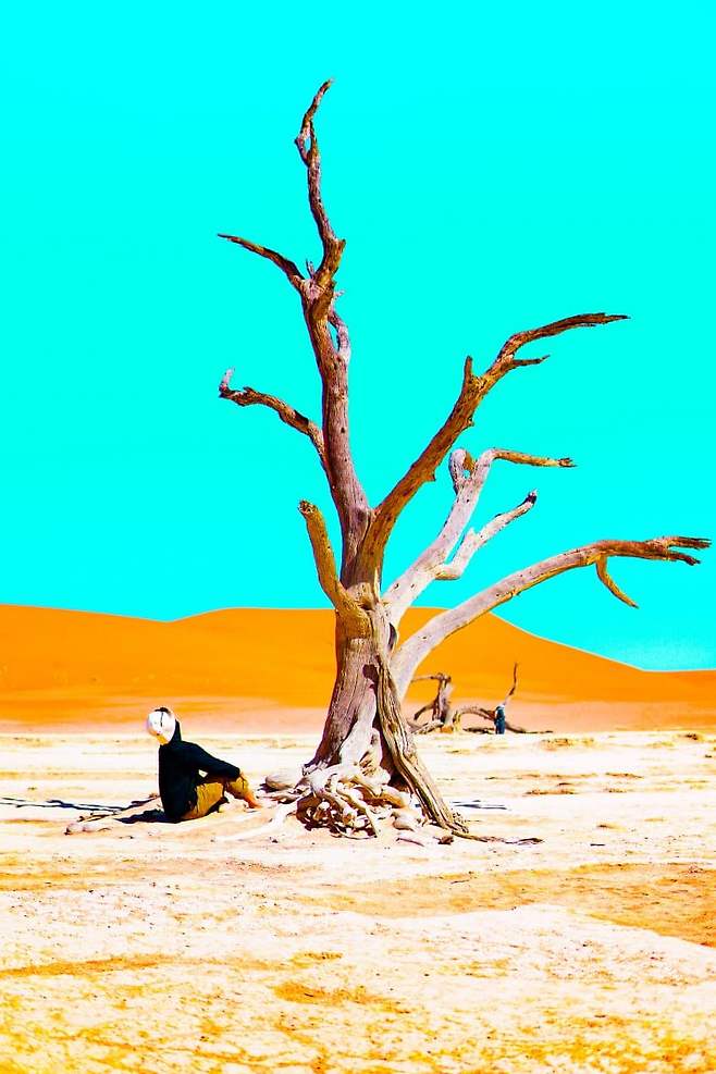 098ef376b7876af120b5c6b236ef203e7b5025b1e3985e191af2