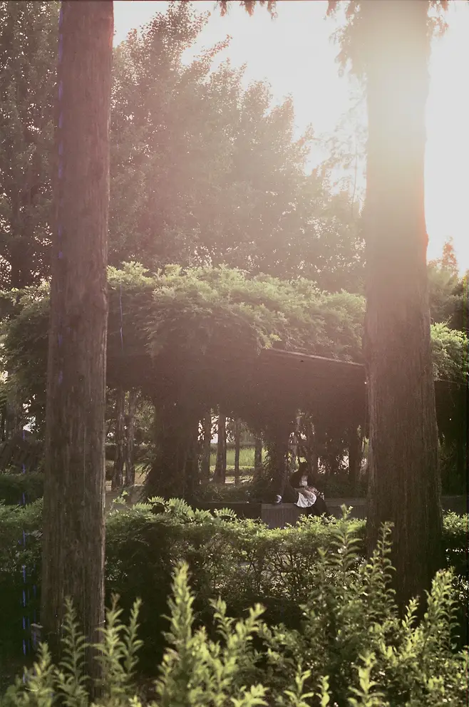 7ded8071b58169f53eef84e258c6213f876ab0d6994bf353a840dcfb7ba5