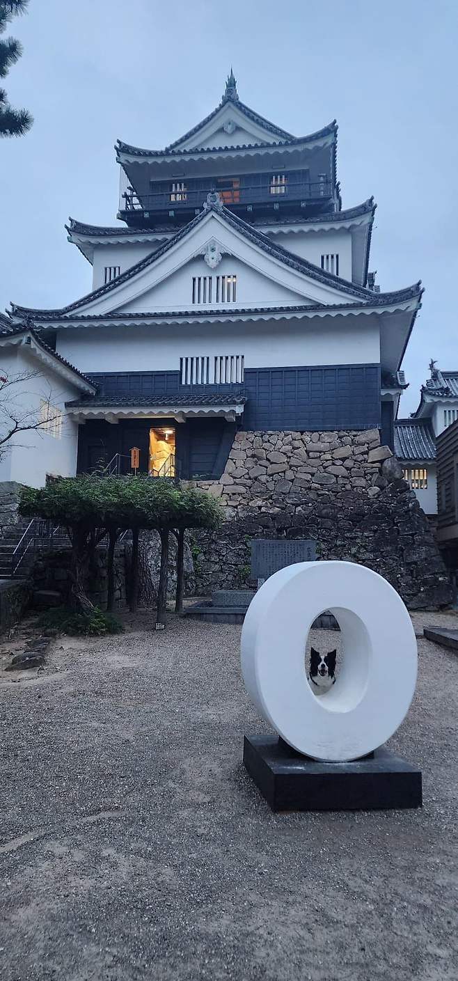 3fb8c32fffd711ab6fb8d38a4283746ffbaa732e4c10dcf65432d6378b9d7295d4fa995a6f0f84fde732e33564