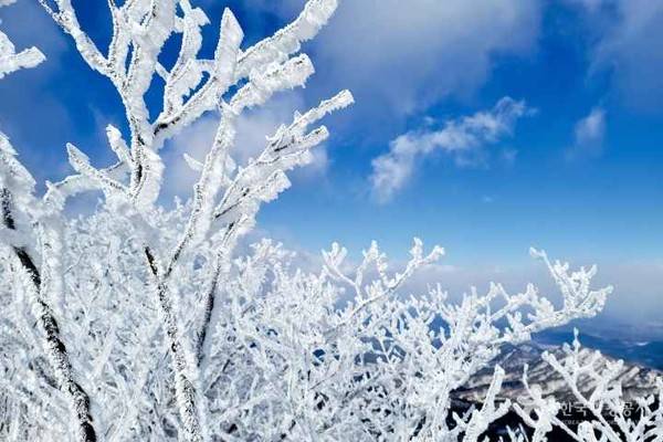 팔공산 겨울 설경, 지금이 가장 아름다운 순간?