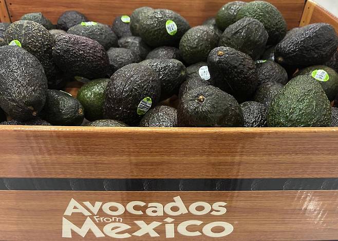 지난달 31일 미국 뉴욕주 화이트플레인스의 한 상점에 진열된 멕시코산 아보카도. 미국 내 수입 아보카도의 약 90%가 멕시코산이다. 화이트플레인스=AP 뉴시스